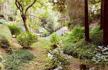 Il Bosco di Campo Marzano studios - Foto 26