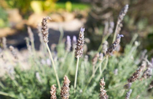 Cliffside Boho Villa - Foto 76