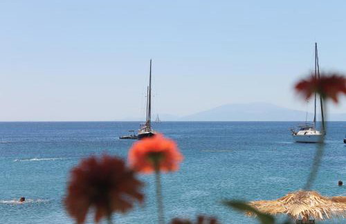 Elena Studios - Photo 17