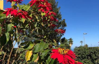 Ankerplatz - casa Juseli - Ruhe und Erholung - Foto 43