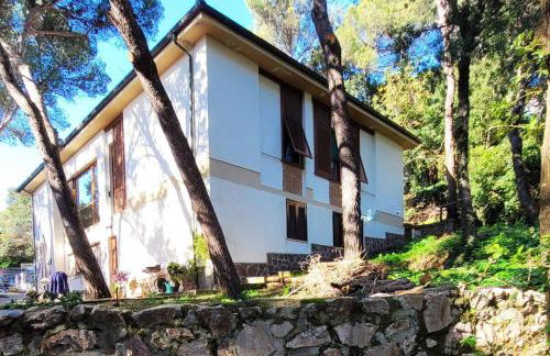 La casa in pineta - Foto 13