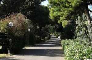 Rosi Sweet Home - Foto 6