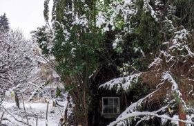 FeWo Sartorius am Hemsberg - Foto 34