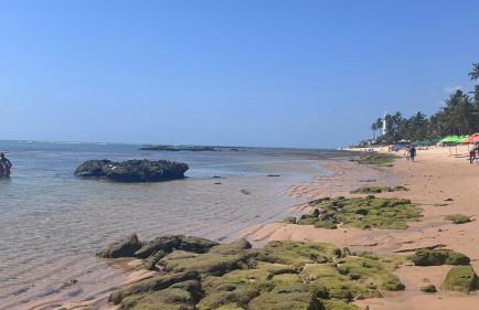 Apartamento 02 Porto Praia do Forte - Foto 6