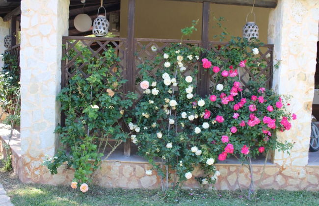 Smiles & Sunsets - Marino's Resort - Foto 75