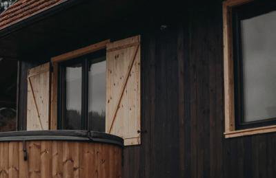 Mech i brzoza - Foto 8