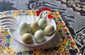 The Nest Koryciski Agroturystyka - Foto 21