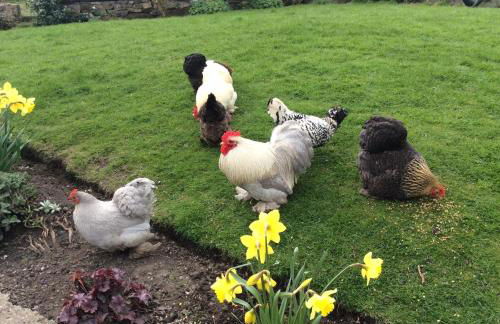 Carr’s cottage Eyam Peak District, - Photo 9