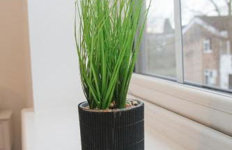 Cosy 2-bed home - For Company contractor and Leisure stays - NEC, Airport, HS2, Contractors, Resort World - Foto 25