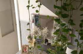 La Casetta di Anna - Foto 4