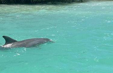 Renovated Downtown Apartment - B - Foto 18