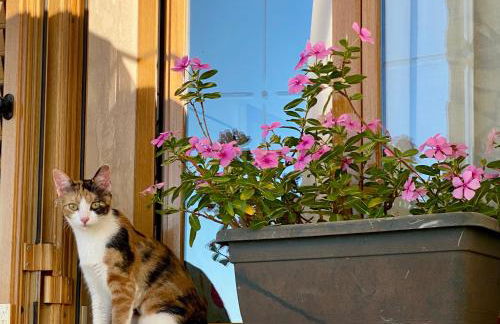 Villa Mare Giuggiola - Foto 32