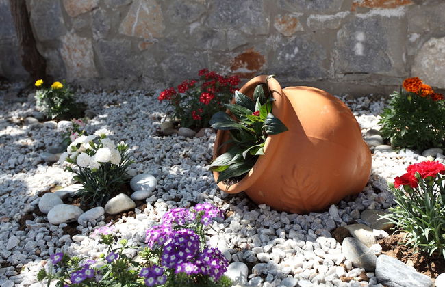 Sunrise Residence - Foto 34