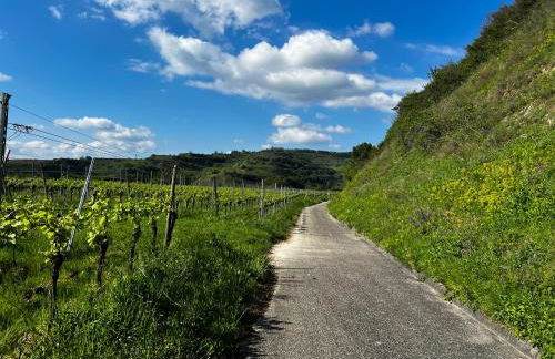 La Maison Kaiserstuhl mit Sauna - Foto 34