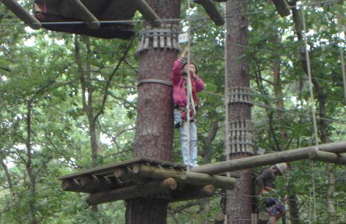 Ferienhaus an der Brunnenaue 4 Sterne, E-Ladestation am Haus, Wlan, Netflix, Garten - Foto 66