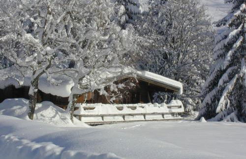 Chalet 4 chambres à Megève Mont d'Arbois - 10 pers, terrasse, parking - FR-1-453-10 - Photo 17