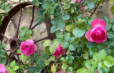 Il Nascondiglio - The Hideaway - Foto 137