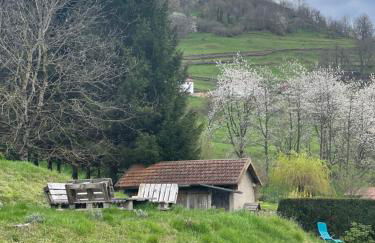 Gîte de la Belette_Montagne de La Bresse - Foto 7