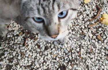 Romitorio di Castiglione del Lago - Photo 20