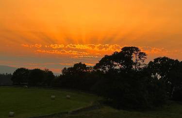Cozy 2 bedroom cottage with log burner close to Loch Ken - Foto 10