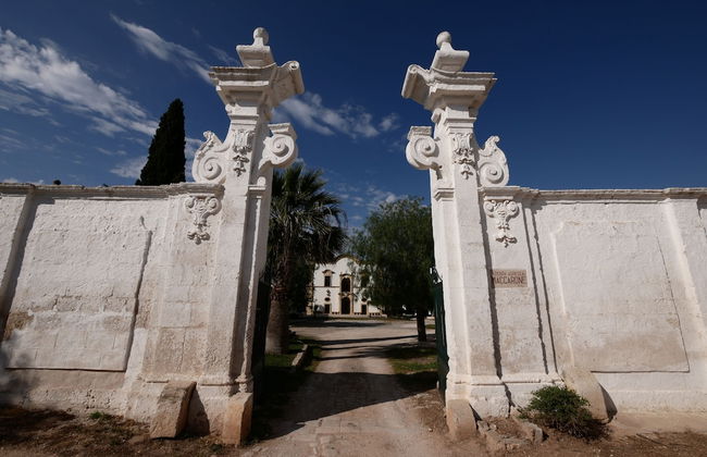 Masseria Maccarone - Photo 36