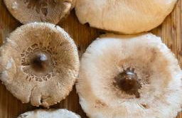 Osada Miłojeż - całoroczne Domy Premium w Borach Tucholskich, Jacuzzi pod gwiazdami - Foto 80