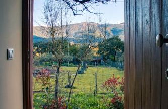 Quinta-lina de serpins - Foto 43