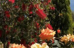 Cozy Apollon Villa, Sea View, Next To Galaxidi - Photo 67