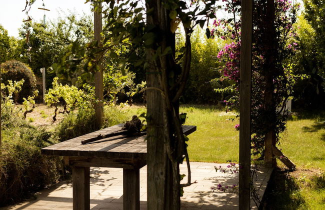 Casale alle Vigne - Foto 39