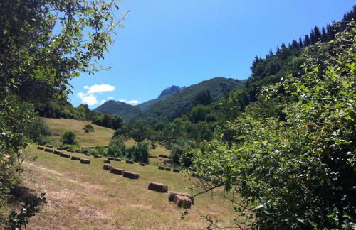 Viviendas Rurales Aldea de Dosamantes - Photo 52