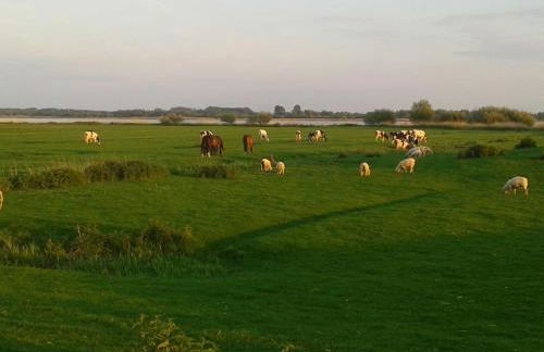 Luxuswohnung, 90 qm, Balkon, beste Lage in Kollmar - Foto 24