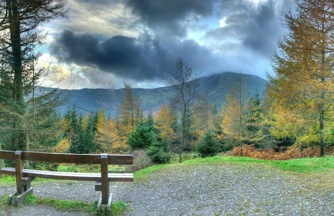 24hr Check-in Pet-friendly Apartment Fast Wifi - Photo 16