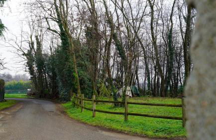 Casa Milena Malpensa Milano Laghi Malpensa Fiere self-check-in - Foto 12