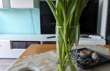 Ferienwohnung Philippi - Moselblick mit großer Dachterrasse, 75 qm, Hunde willkommen - Foto 19