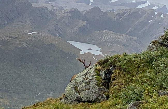 12 Person Holiday Home in Alfoten - Foto 36