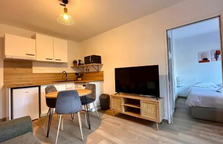 123 - Le Nova - 4 pers, terrasse, transports - Photo 10