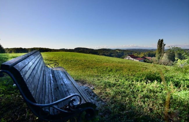 Apartment Adlerhorst - Schwalbenhof Farm - Foto 20