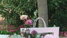 Villa Castellanos - Photo 4