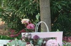 Villa Castellanos - Photo 4