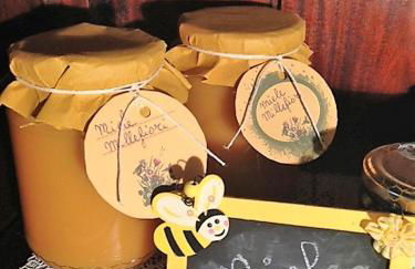 Agriturismo Settepassi Tuscany - Foto 88