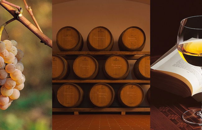 Agriturismo I Comelli - Foto 53