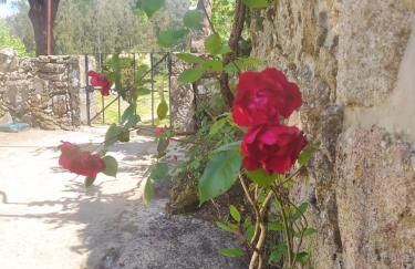 Casa das Japoneiras - Foto 28