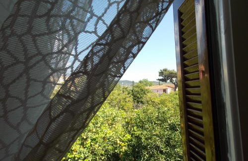 Art Flowers and Culture - Foto 35