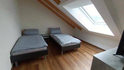 Weinrebenblick - Foto 5