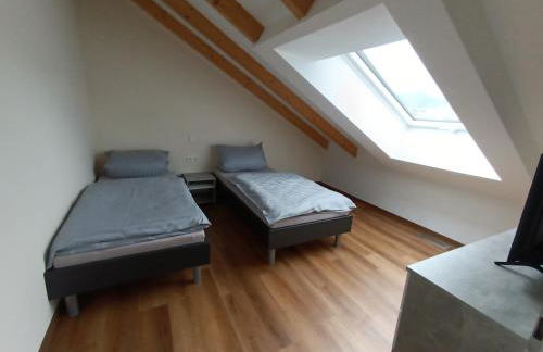 Weinrebenblick - Foto 5