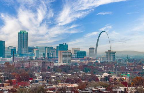 Luxury STL Oasis Sauna, Firepit, HotTub and Games - Foto 31