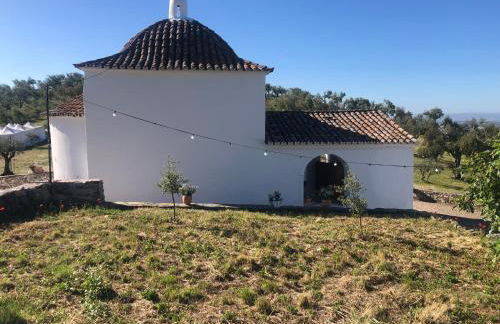 Monte do Rei Santo - Foto 45