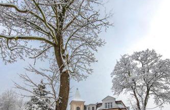 Apartament Villa Clara - Foto 18