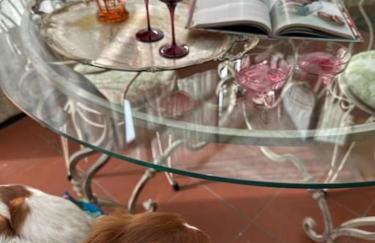 ☆Lovely view of Florence in Stilish Designed Apt☆ - Foto 13