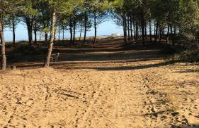 La possibilité d’une île - Foto 15